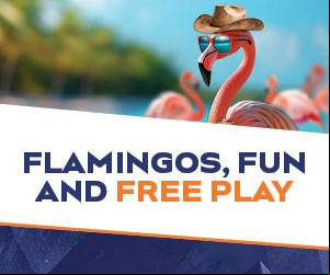 Flamingos, Fun & Free Play